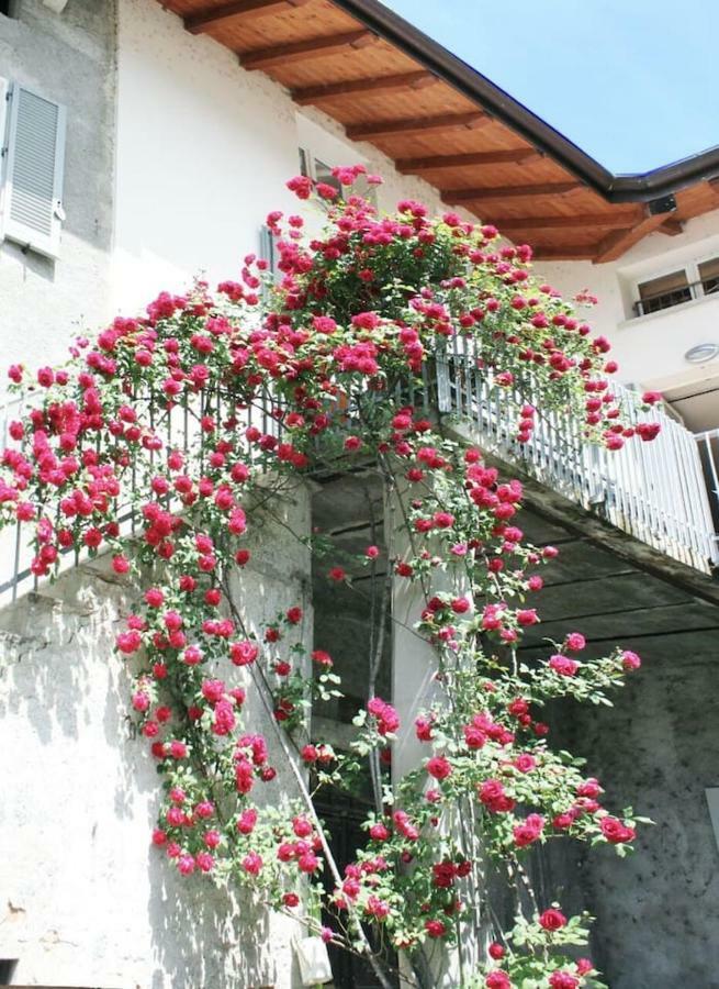 "Il Cortile" Apartment 콜리코 외부 사진
